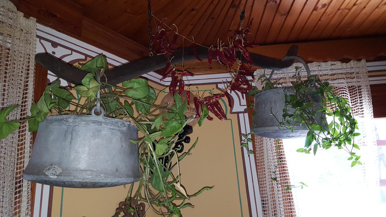 Chuchura Family Hotel Kopriwsztica Zewnętrze zdjęcie